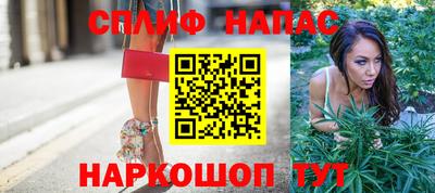 прущие грибы Гусь-Хрустальный