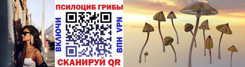 Псилоцибиновые грибы Psilocybine cubensis  цена   Мурино 