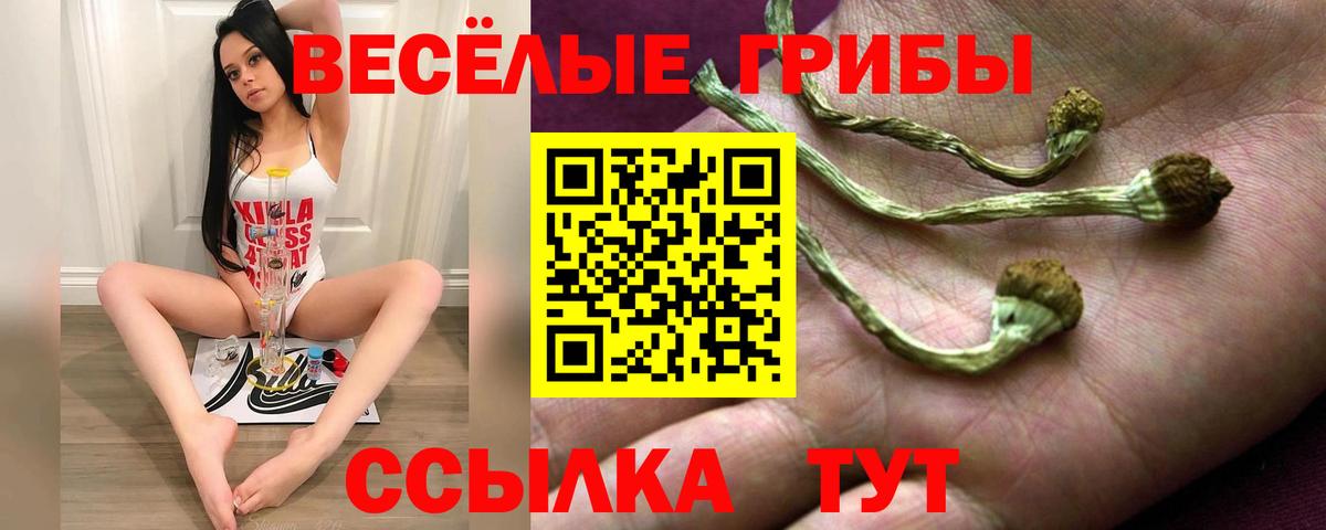 Галлюциногенные грибы Psilocybe Мурино