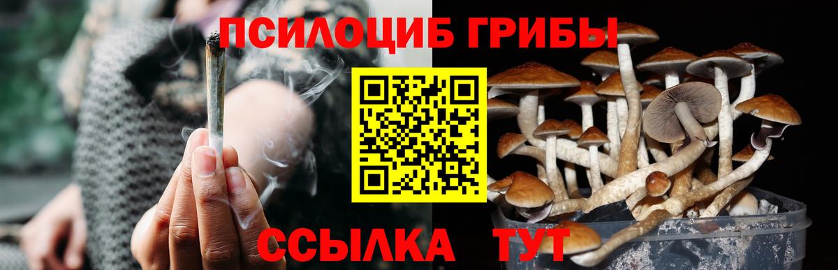 Мурино  Псилоцибиновые грибы прущие грибы  Вход с VPN 